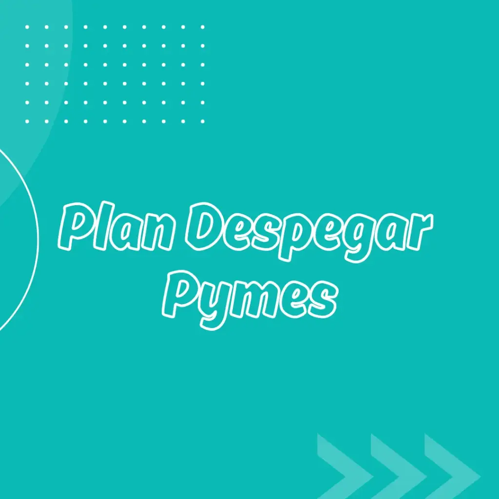 Plan Despegar Pymes