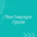 Plan Despegar Pymes