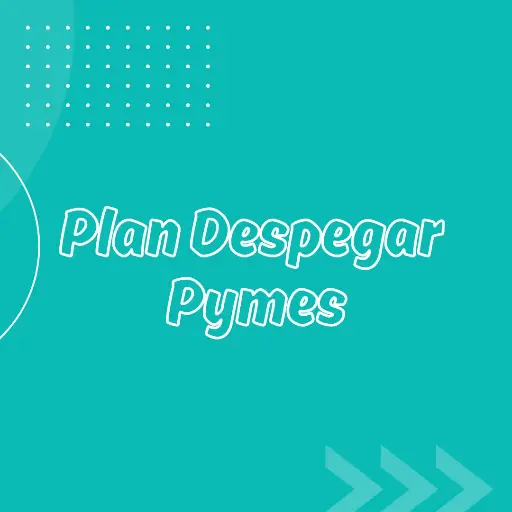 Plan Despegar Pymes